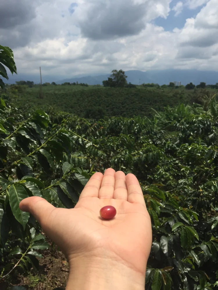 El Suspiro | Colombia