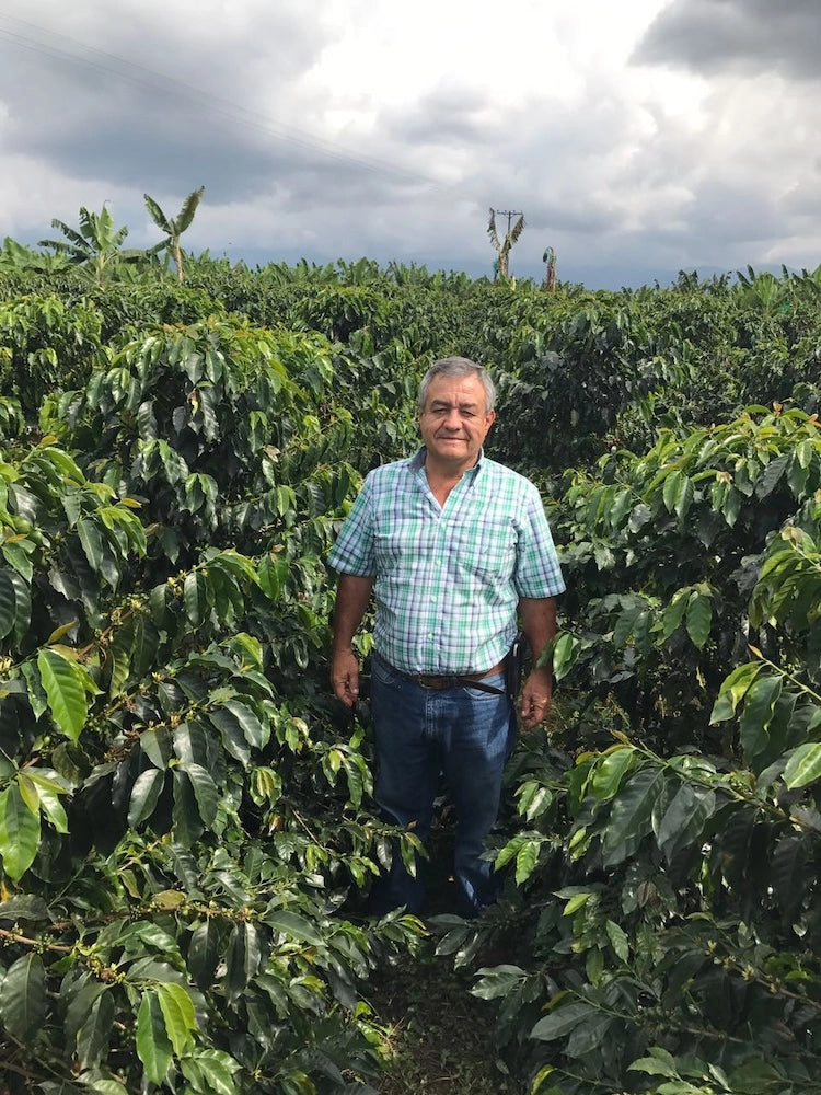 Jairo | Colombia (14 cápsulas)