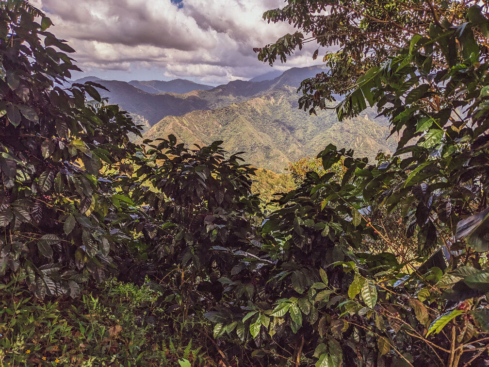 Escandia | Colombia