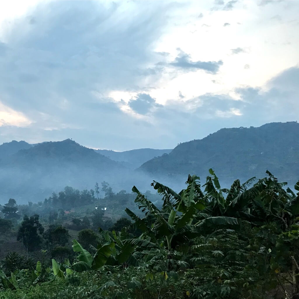 Buzonko Dream | Uganda