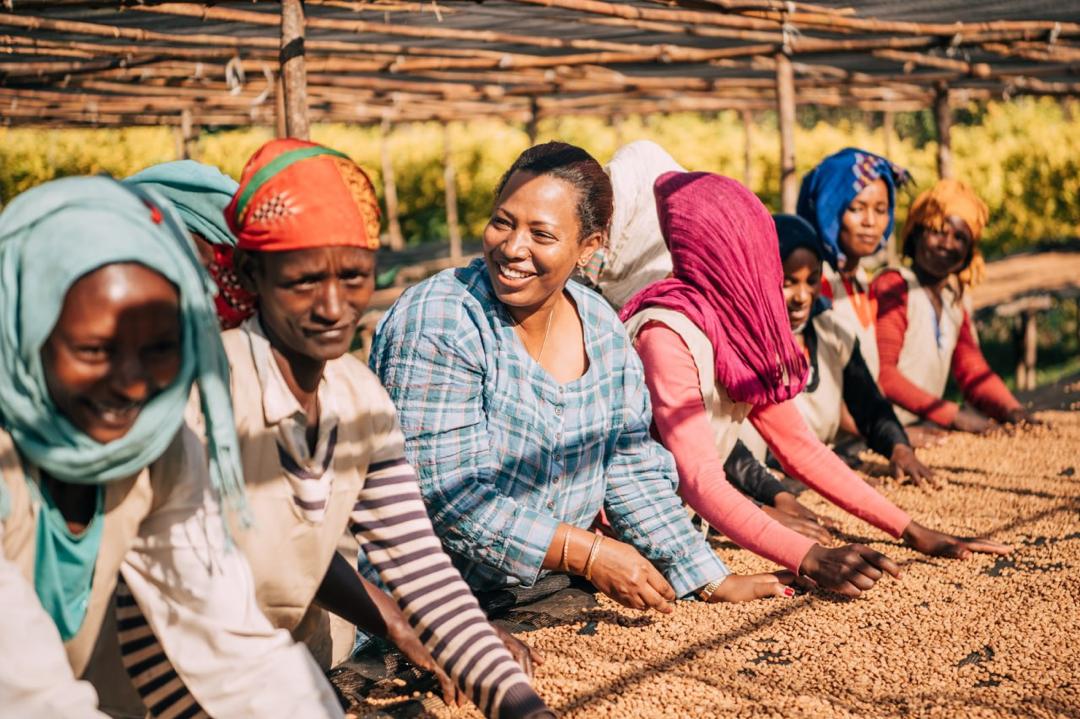 Sidamo Bensa | Etiopia