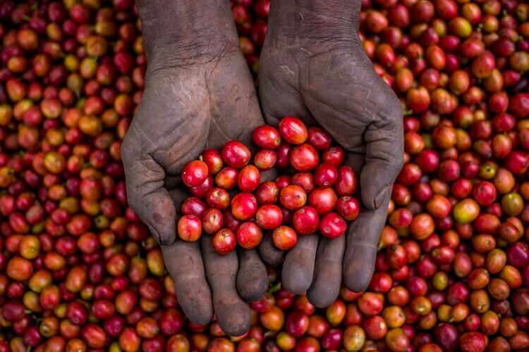 Buzonko Dream | Uganda