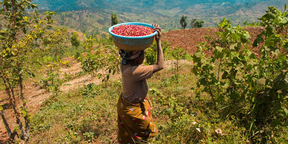Kirunga | Ruanda