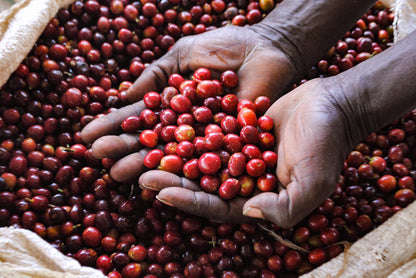 Kirunga | Ruanda