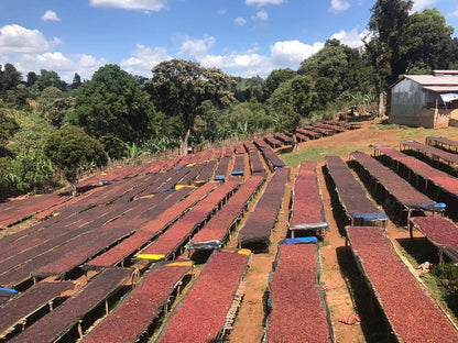 Sidamo Bensa | Etiopia