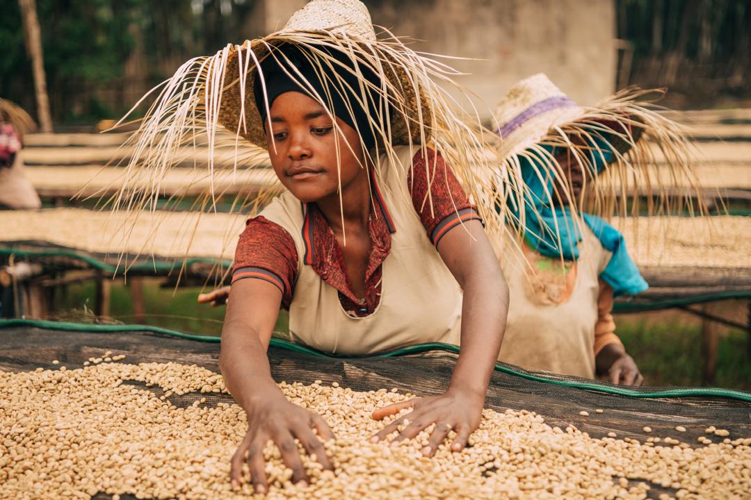 Sidamo Bensa | Etiopia