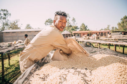 Sidamo Bensa | Etiopia
