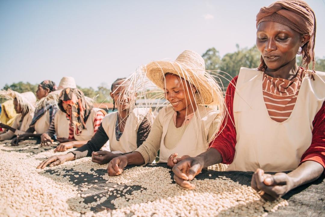 Sidamo Bensa | Etiopia