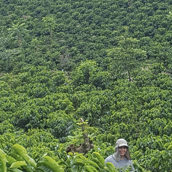 Aquiares | Costa Rica