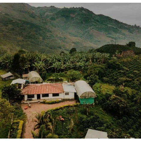 El Buho | Colombia (Descafeinado)