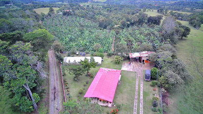 La Primavera | Colombia