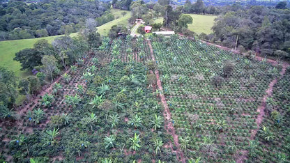 La Primavera | Colombia