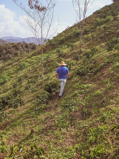 Golden Colombia | Colombia 