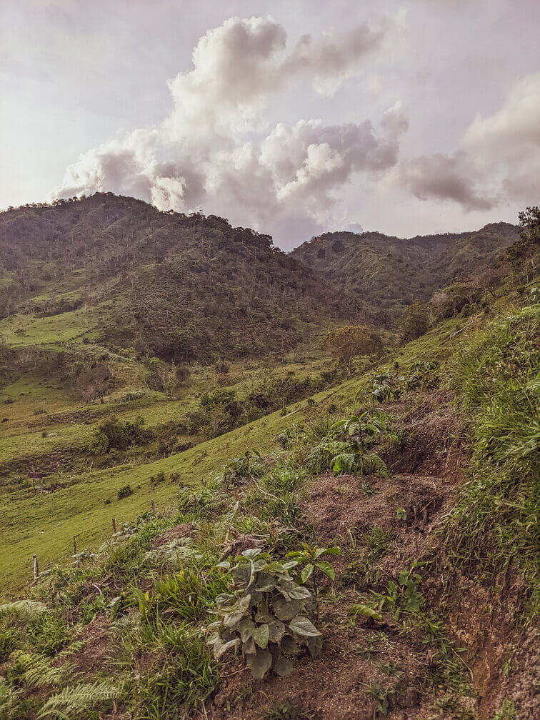 Golden Colombia | Colombia 